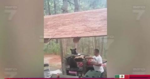 oso asado