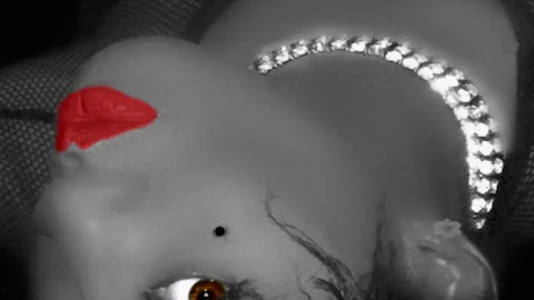 actriz porno