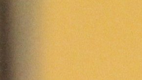 La Primera Dama de Nueva York, Chirlane McCray habla con El Diario acerca del programa de Violencia Domestica.