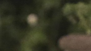 Vergara demuestra a golpe de risas por qué sigue siendo la número uno.