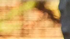 Las especulaciones sobre una posible relación, comenzaron a circular tras su divorcio con Mike Comrie.