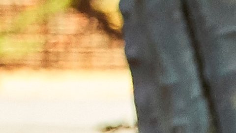 Las especulaciones sobre una posible relación, comenzaron a circular tras su divorcio con Mike Comrie.