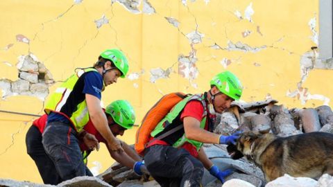 terremoto