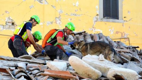 terremoto
