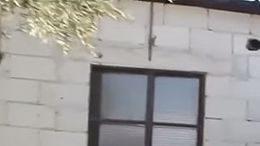 Rami Adham entra juguetes de contrabando para los niños sirios.