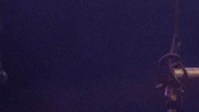 Juan Luis Guerra junto a su banda