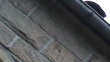 NB - The Cloisters - Fort Tyron Park in Manhattan. Foto Credito: Mariela Lombard / El Diario NY