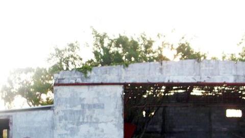 Violencia en México.