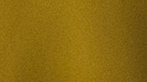 Cubo Torres estaba hospedado en un hotel de la Ciudad de México.