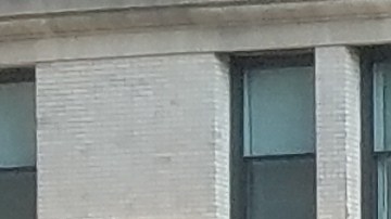 El Comité de Transporte del Concejo, presidido por Ydanis Rodríguez tuvo una audiencia con autoridades de transporte de la Ciudad para exigir mejores servicios de autobuses