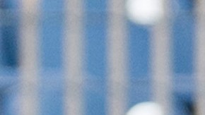 La mitad de los jugadores convocados no rebasa los 10 partidos con la playera verde.