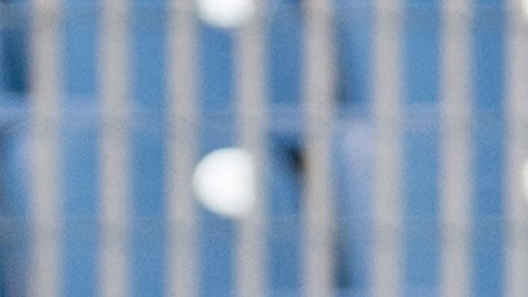 La mitad de los jugadores convocados no rebasa los 10 partidos con la playera verde.