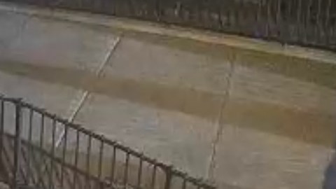 Se busca a dos individuos sospechosos de asesinar a hombre en El Bronx.