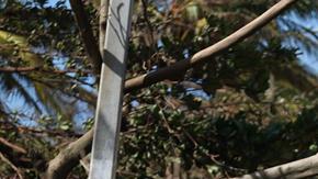 En su paso por Haiti, Matthew dejó destrucción y muerte.