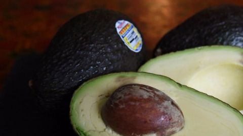 La siembra clandestina de aguacate destruye, en promedio, entre 600 y 1,000 hectáreas al año.