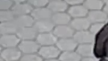 El agresor se acercó por detrás al anciano y lo golpeó, tirándolo al piso.