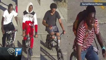 Buscan a seis jovenes que asaltaron a varios vecinos de Queens mientras montaban sus bicicletas.
