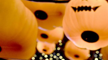 Los cinco condados se tiñen de naranja para celebrar la fiesta del miedo.