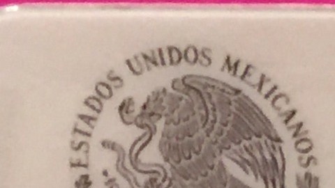 Credencial de elector mexicana. (Muestra)