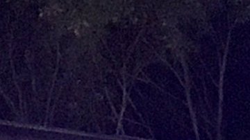 Descarrilamiento de tren