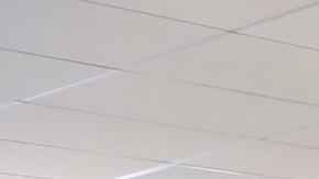 Periodistas de El Diario muestran algunos de los premios ganados por el equipo editorial.