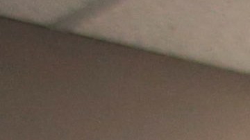 Muchos reciben llamadas que en realidad no son de voluntarios de las campañas.