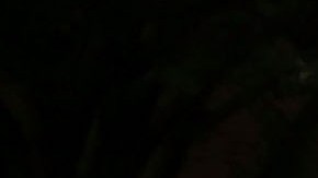 NYPD en vecindario Gowanus de Brooklyn, 2015.