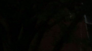 NYPD en vecindario Gowanus de Brooklyn, 2015.