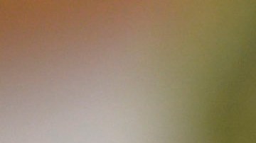 El pretzel es un aperitivo muy común en la Gran Manzana. Es popular entre vecinos, turistas y ahora, también entre las ratas.