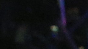 Al momento, no se sabe de su paradero del boxeador.