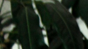 El padre de Zuria y Marimar Vega, tenía 69 años de edad.