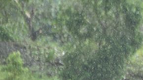 Los destrozos que dejó Matthew en Haití.