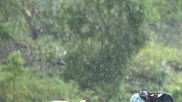 Los destrozos que dejó Matthew en Haití.