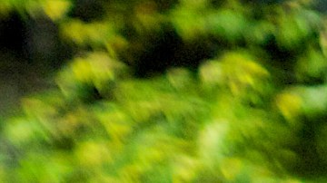 El desfile del Village comienza el lunes 31 a las 7 pm.