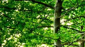 No se pierdan al conjunto Mariachi en Joe´s Pub, el sábado 15 de octubre.