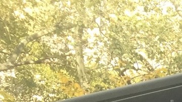 Líderes de Nueva York se sumaron este lunes a la campaña “Vocal Majority Tour” que urge a los votantes a apoyar a candidatos que luchen contra la violancia de armas de fuego