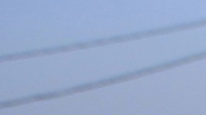 Palestinian farmers harvest strawberries