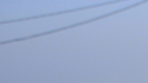 Palestinian farmers harvest strawberries