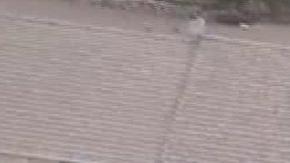 Nadine Hernández fue encontrada herida de bala en una residencia de Whittier.