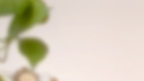 Los testamentos ahorran muchos costos para los herederos./Shutterstock