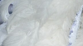 La modelo no se encontraba en el domicilio cuando ocurrió el incidente.