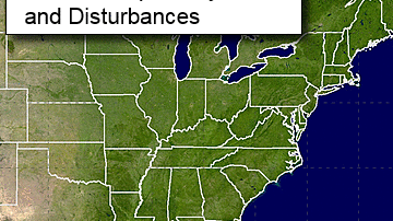 Tormenta tropical Nicole