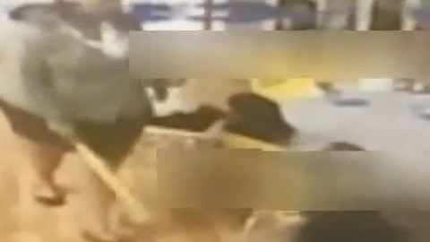 Cámara de seguridad captó la agresión de la cuidadora con un bate de 'wiffle ball'.