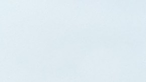 Nuestros Barrios - Brooklyn Bridge Park, Piers, parque y puente.