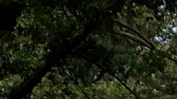 Las autoridades han aumentado la presencia policial en los parques.