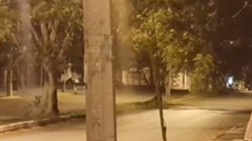 Crece la aparición de payasos.