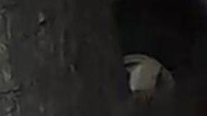 Xueken Su se enfrenta a cuatro cargos por hurto mayor y un delito de odio.