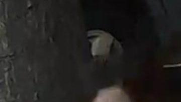 Xueken Su se enfrenta a cuatro cargos por hurto mayor y un delito de odio.