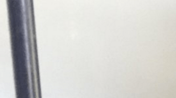 El Servicio de Animales de Riverside busca hogar para los 26 perros pit bull.