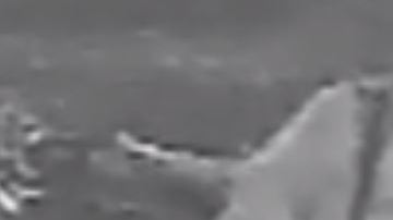 El sospechoso fue grabado por una cámara de vigilancia, después del ataque en El Bronx.